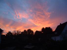 Wilstedter Morgenrte 02 TN